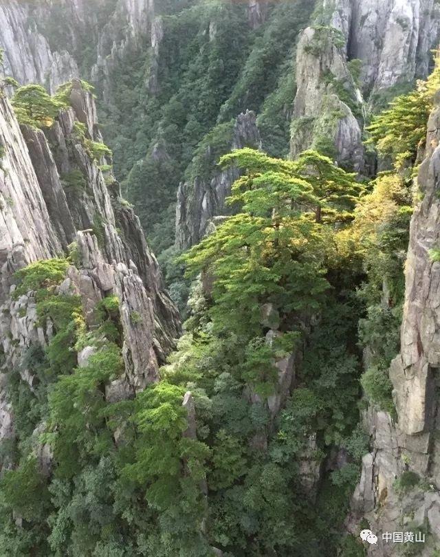 大姨妈刚走，尽量少做2件事，多数女性可能“不在意”，不妨改改
